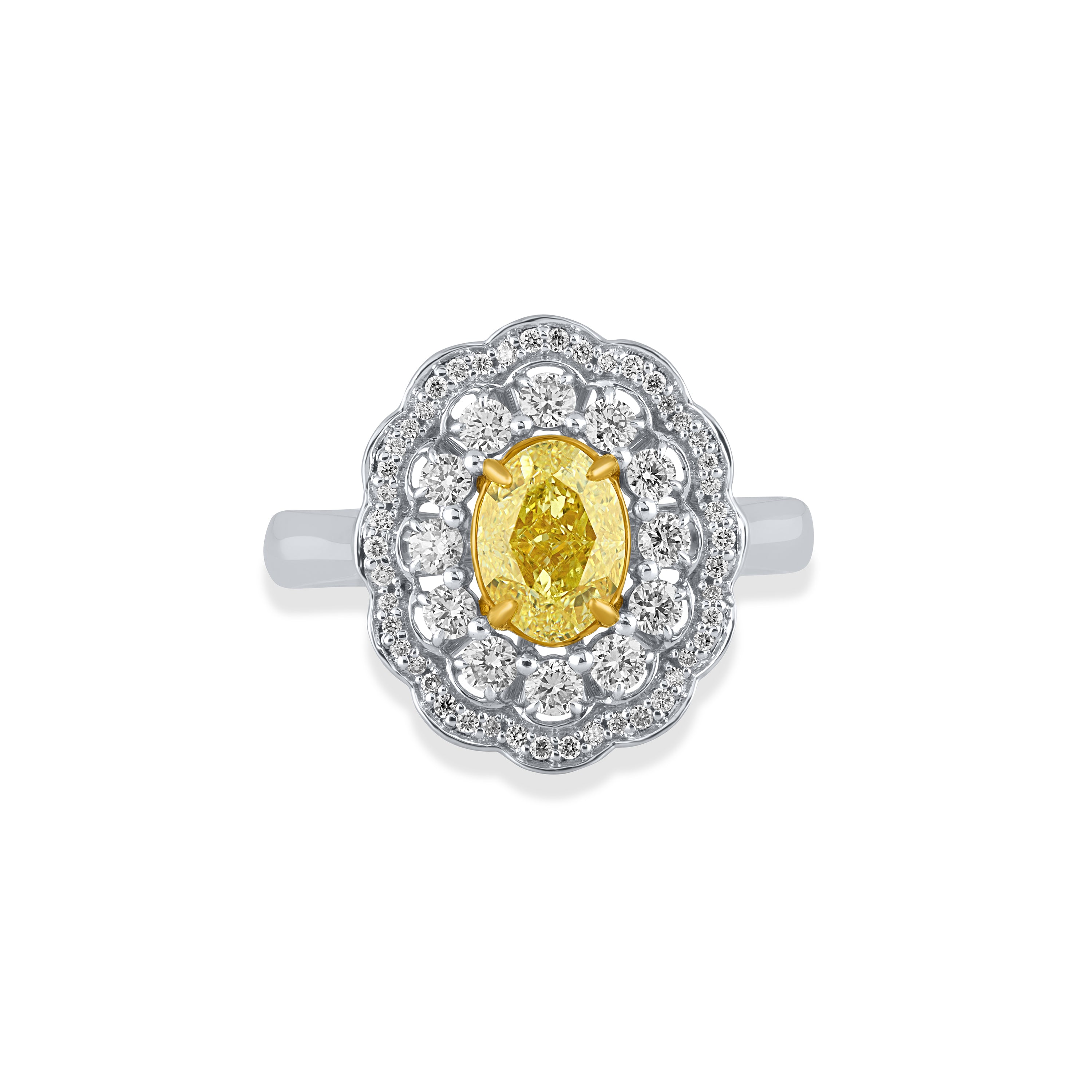 Golden Bloom